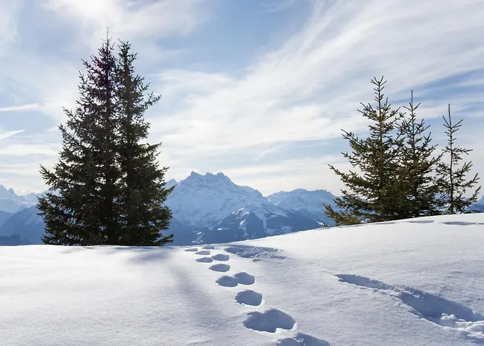 Soleil B 13-14 By Interhome * Villars-sur-Ollon