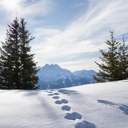 Soleil B 13-14 By Interhome * Villars-sur-Ollon